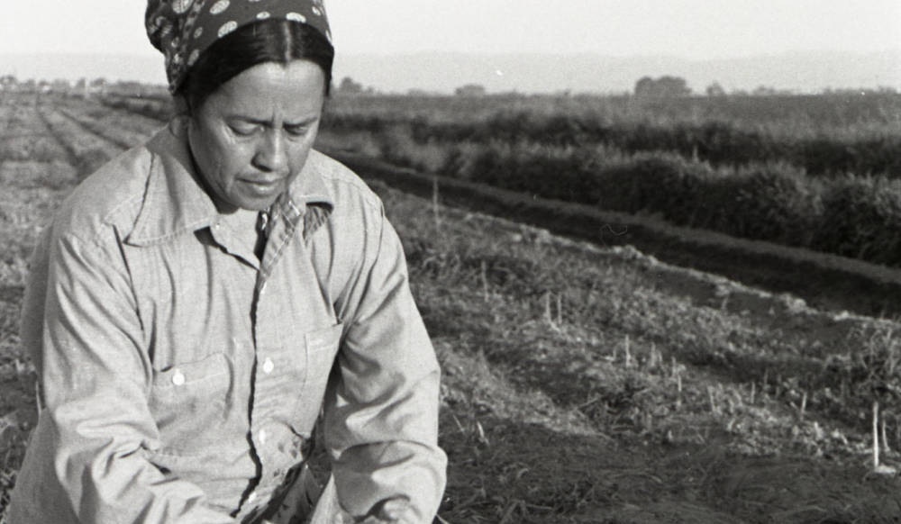A look into how a Seattle photographer documented farmworkers